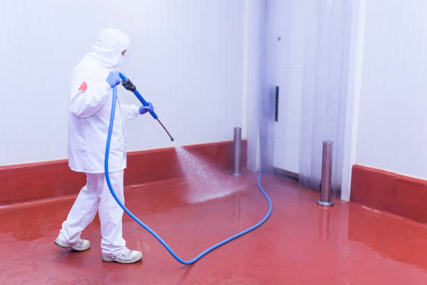 Best Playground Equipment Cleaning  in Hampshire, IL